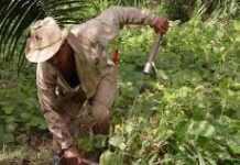 Agricultor se cortó la rodilla con un machete en Jacura