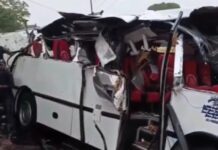 Árbol cae sobre un autobús y deja 4 muertos y 11 heridos