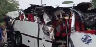 Árbol cae sobre un autobús y deja 4 muertos y 11 heridos