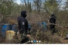 Incautan más de 14 mil litros de combustible de aviación en Mauroa