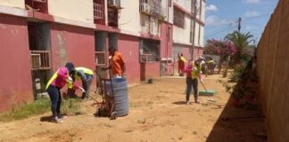 Cuadrillas de limpieza activas en Carirubana