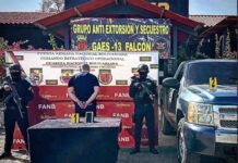 Detenido zuliano en Falcón por estafar a más de 12 empresas