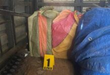 PNB localiza dos sacos de droga