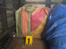 PNB localiza dos sacos de droga