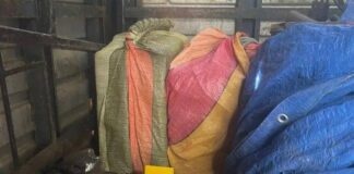 PNB localiza dos sacos de droga