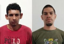 Ellos se dedicaban al robo de vehículos