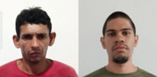 Ellos se dedicaban al robo de vehículos