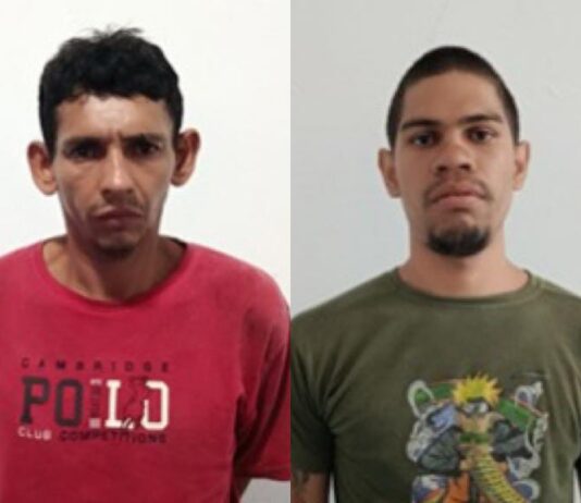 Ellos se dedicaban al robo de vehículos
