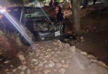 Esquivó un carro y chocó con un árbol