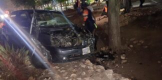 Esquivó un carro y chocó con un árbol