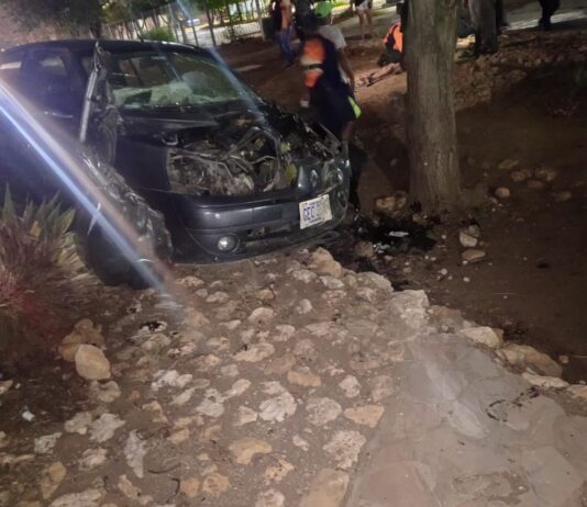 Esquivó un carro y chocó con un árbol