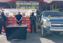GAES Falcón detiene a zuliano que estafaba con empresa de maletín
