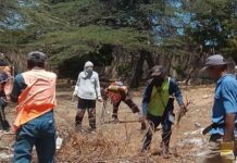 Imaseo continúa limpieza de espacios en Carirubana