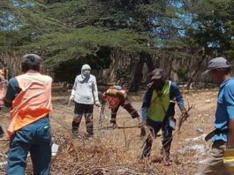 Imaseo continúa limpieza de espacios en Carirubana