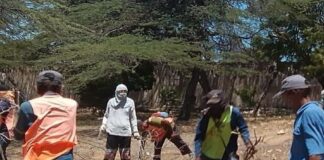 Imaseo continúa limpieza de espacios en Carirubana