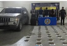 Agarran a una mujer y dos hombres con 64 panelas de marihuana en Punto Fijo