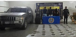 Agarran a una mujer y dos hombres con 64 panelas de marihuana en Punto Fijo