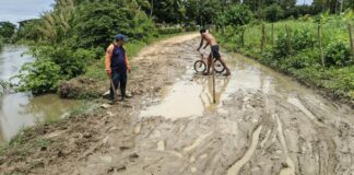Reportan afectaciones por lluvias en Boca de Aroa
