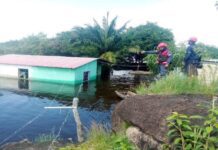 Más de 700 familias han sido atendidas en Amazonas tras afectaciones del río Orinoco