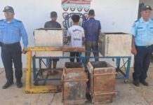 Tres detenidos por hurto en Creolandia