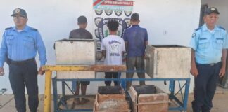 Tres detenidos por hurto en Creolandia