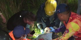 Comerciante casi pierde la vida en accidente