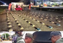 Detienen a un hombre y una mujer con 93 panelas de droga en Mauroa