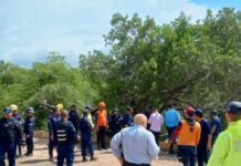 Detalles| Encuentran a joven degollada