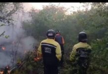 Controlado incendio en el sector Santa Bárbara de Cerro Pelón en el municipio Falcón