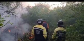 Controlado incendio en el sector Santa Bárbara de Cerro Pelón en el municipio Falcón