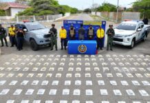 Esto se sabe de la droga incautada en los manglares de Bicentenario