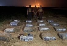 Detienen a hombre con 800 envoltorios de marihuana en Bicentenario