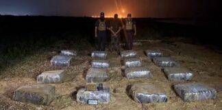 Detienen a hombre con 800 envoltorios de marihuana en Bicentenario