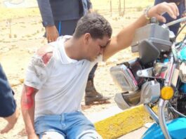 Motorizado queda lesionado al llevarse por delante un semoviente en la avenida «Chema» Saher