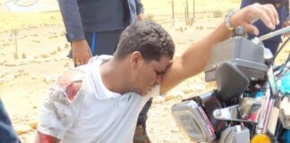 Motorizado queda lesionado al llevarse por delante un semoviente en la avenida «Chema» Saher