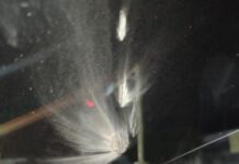 Tirapiedras vuelven a arremeter contra conductores en la avenida Chema Saher