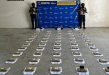 Localizan 50 panelas de marihuana en el sector La Encrucijada