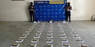 Localizan 50 panelas de marihuana en el sector La Encrucijada