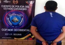 Detenido motorizado que arrolló a un perro y se dio a fuga