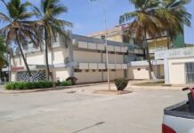 Dos arrollados la mañana del sábado #20 Sep