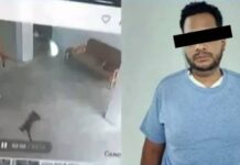 Imputado por el brutal asesinato de un gato