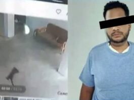 Imputado por el brutal asesinato de un gato