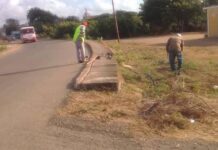 Alcaldía de Falcón realiza desmalezamiento en vías principales y en espacios públicos