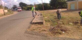 Alcaldía de Falcón realiza desmalezamiento en vías principales y en espacios públicos