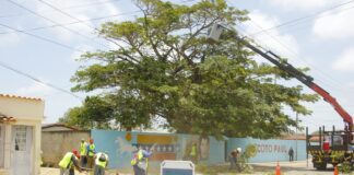 Alcaldía del municipio Falcón avanza en el mantenimiento de vías y sistemas eléctricos