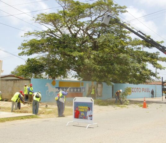 Alcaldía del municipio Falcón avanza en el mantenimiento de vías y sistemas eléctricos