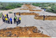 Inutilizan pista clandestina en sector El Cayude del municipio Carirubana