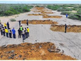Inutilizan pista clandestina en sector El Cayude del municipio Carirubana