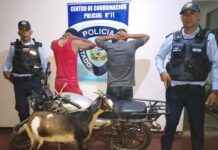 Estos sujetos se dedicaban al hurto de chivos en Churuguara