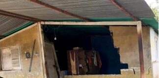 Lara: 28 viviendas con pérdida total y otras 15 con daños estructurales tras sismos